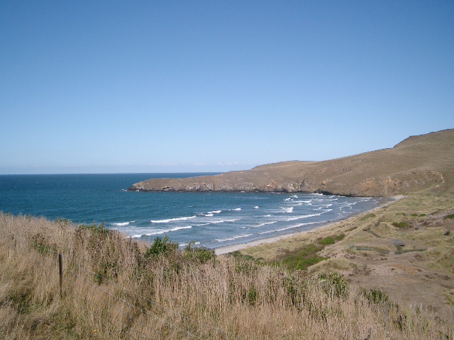 ニュージーランド